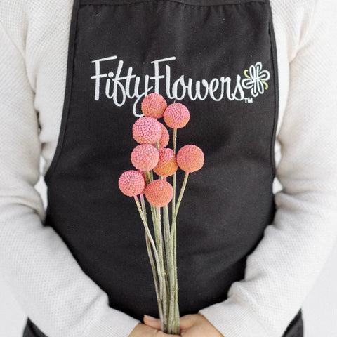 Light Pink Bulk Billy Ball Apron - Image