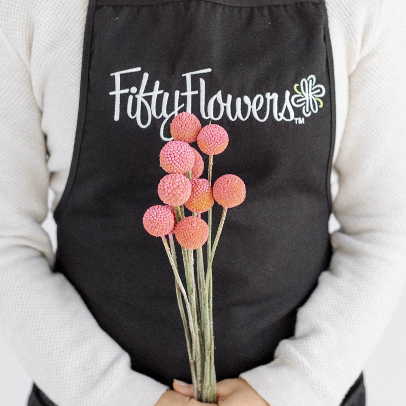 Light Pink Bulk Billy Ball Apron - Image