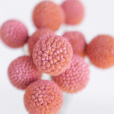 Light Pink Bulk Billy Ball Close Up - Image