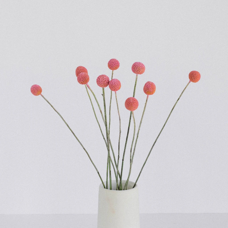 Light Pink Bulk Billy Ball Vase - Image