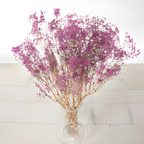 Pink Dried Baby's Breath Flower