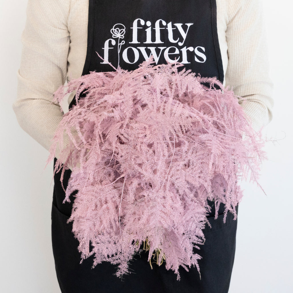 Buy Wholesale Light Pink Tinted Plumosa Fern Greenery in Bulk - Fif