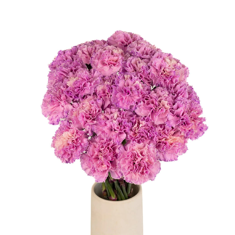 Light Pink Flamingo Wholesale Carnation Vase - Image