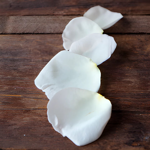 Dried Pink Garden Flower Petals