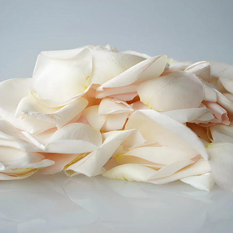 Buy Dried Pink Garden Rose Petals