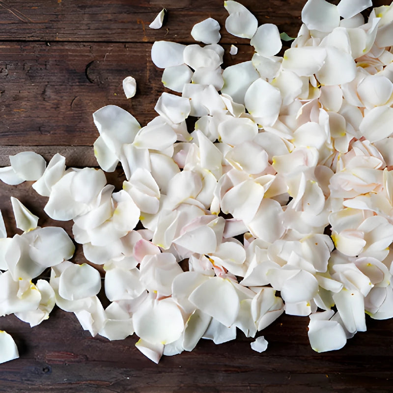 Bulk Pink Garden Rose Petals