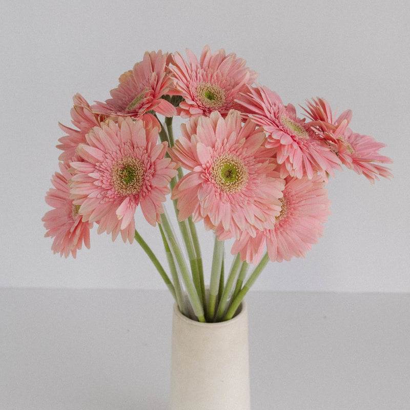 Light Pink Gerbera Daisy Vase - Image