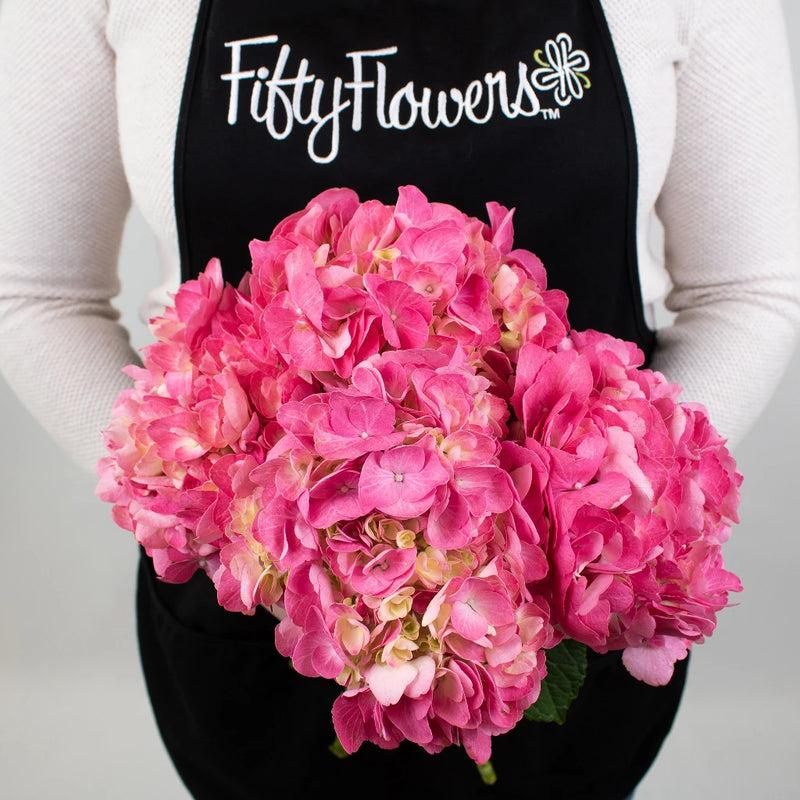 Light Pink Hydrangea Flower Bunch in Hand