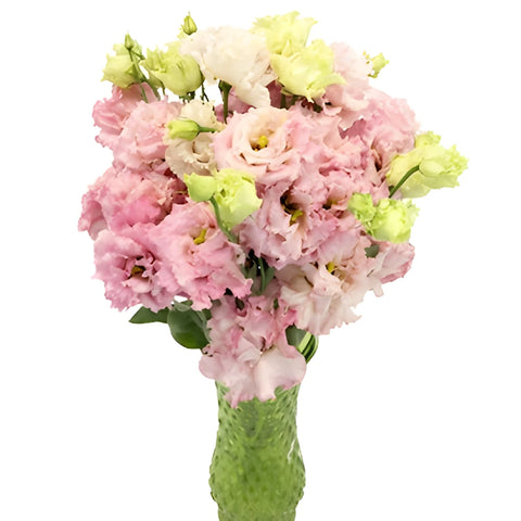 Light Pink Lisianthus Frill Flower Vase - Image