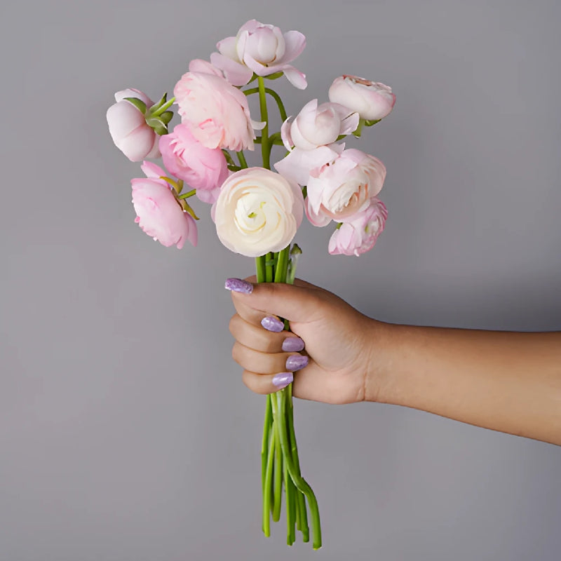 Save The Ranunculus Growers DIY Flower Kit
