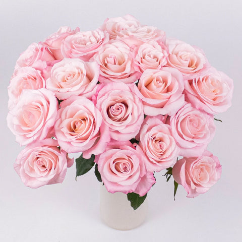 Light Pink Valentines Day Rose Special Vase - Image