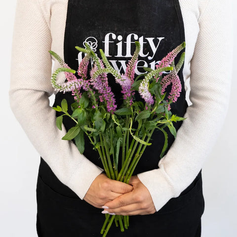 Light Pink Veronica Flowers Apron - Image