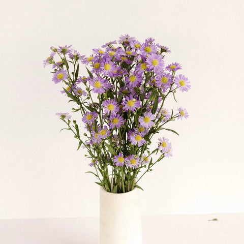 Light Purple Blush Aster Flower Vase - Image