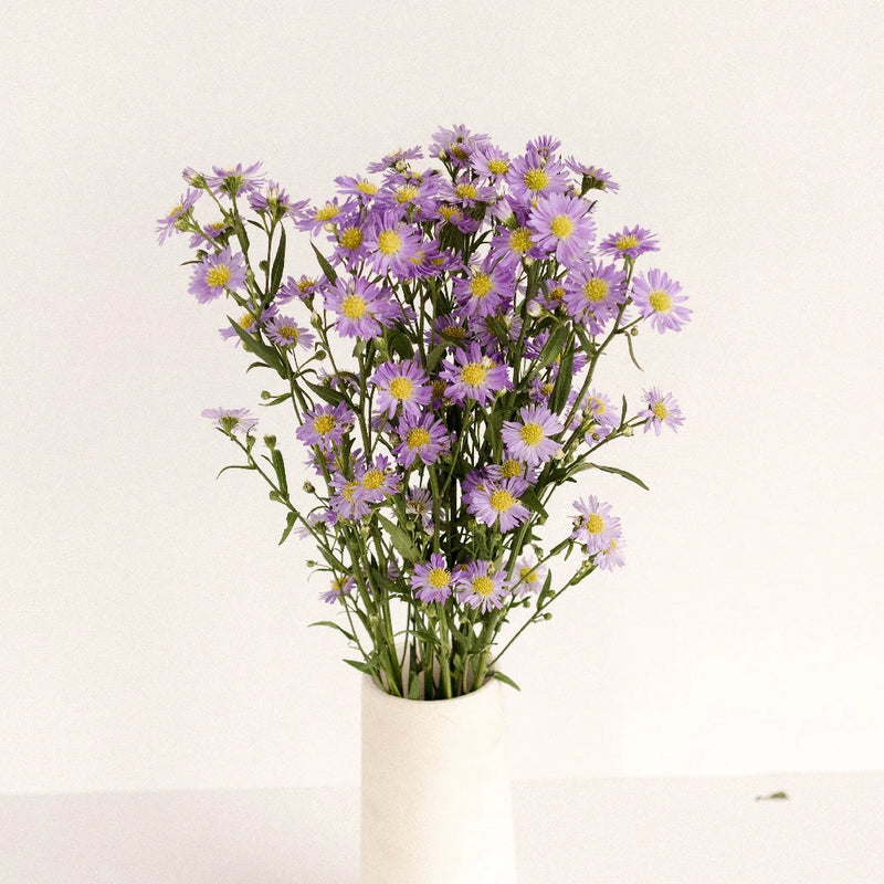 Light Purple Blush Aster Flower Vase - Image