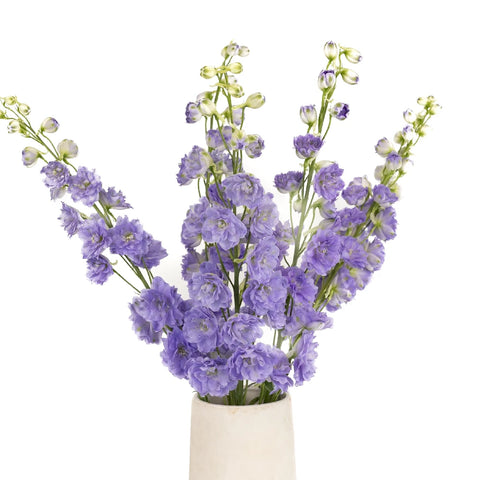 Light Purple Sky Delphinium Flower Vase - Image