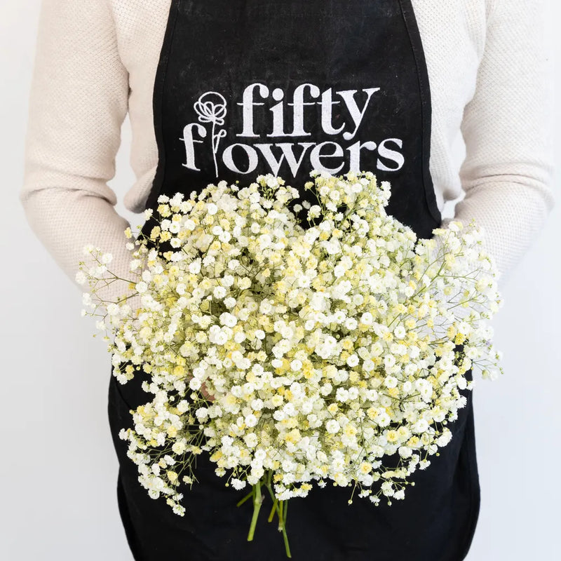 Light Yellow Airbrushed Baby's Breath Flower Apron - Image