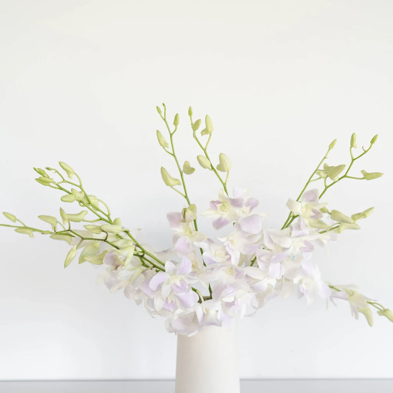Lilac Mist Dendrobium Orchids Vase - Image
