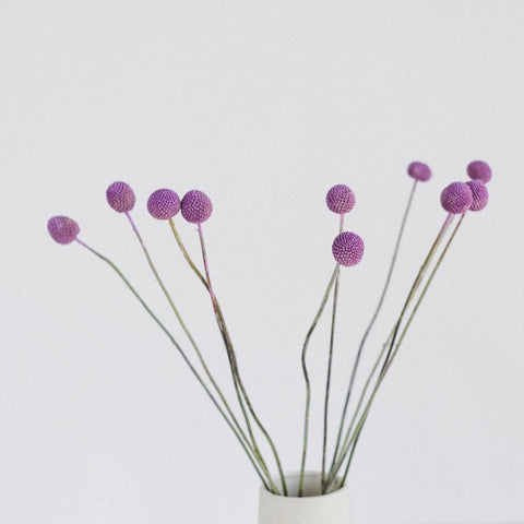 Lily Lavender Billy Ball Flower Vase - Image