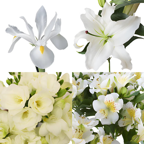 Lily Love DIY Flower Kit Bunch