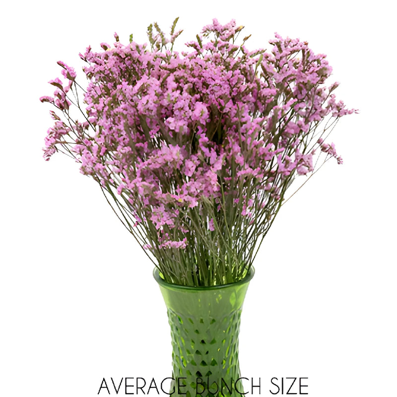 Pink Lavender Limonium Flowers