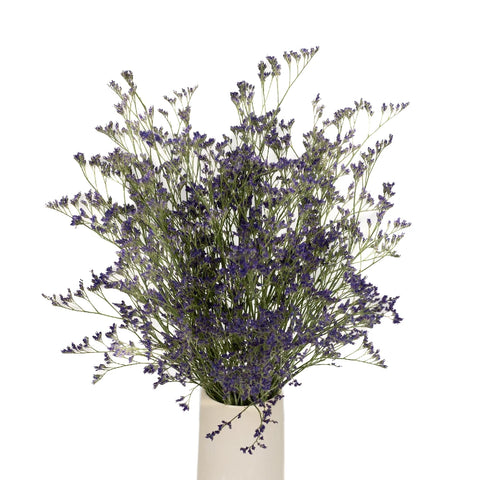 Limonium Purple Flower - Image