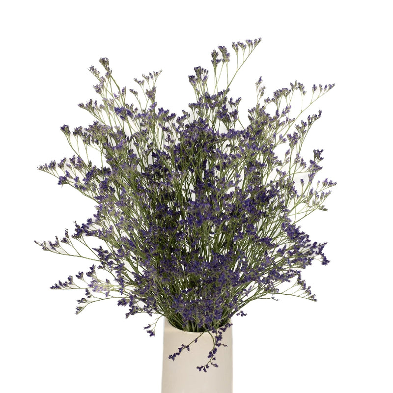 Limonium Purple Flower - Image