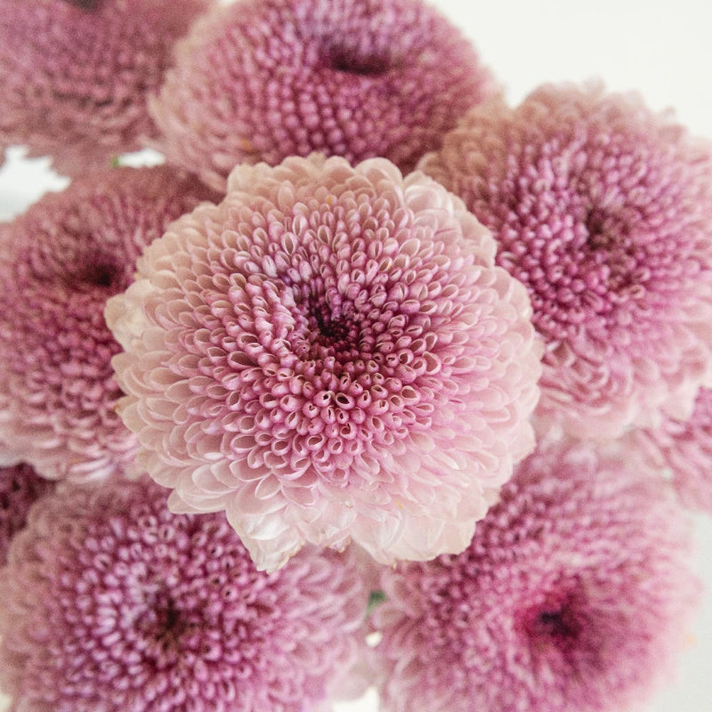 Lipgloss Close Up - Image