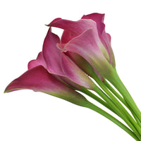 Dark Pink Mini Calla Lily Flower