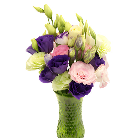 Mixed Color Lisianthus Wholesale Flower