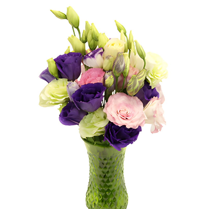 Mixed Color Lisianthus Wholesale Flower