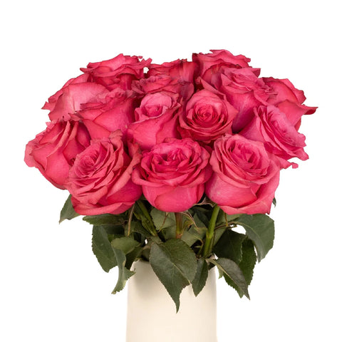 Lola Shade Bulk Rose Vase - Image