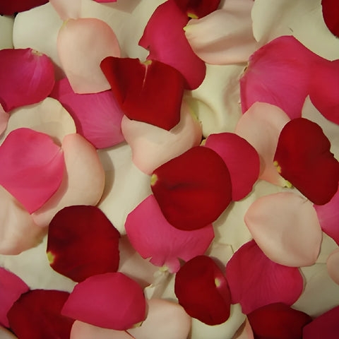 Rose Petals Wholesale for sale