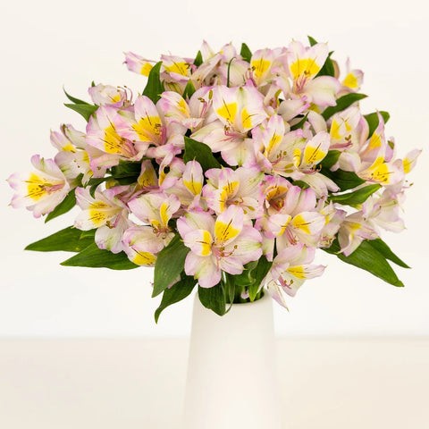 Lovely Lilac Peruvian Lily Vase - Image