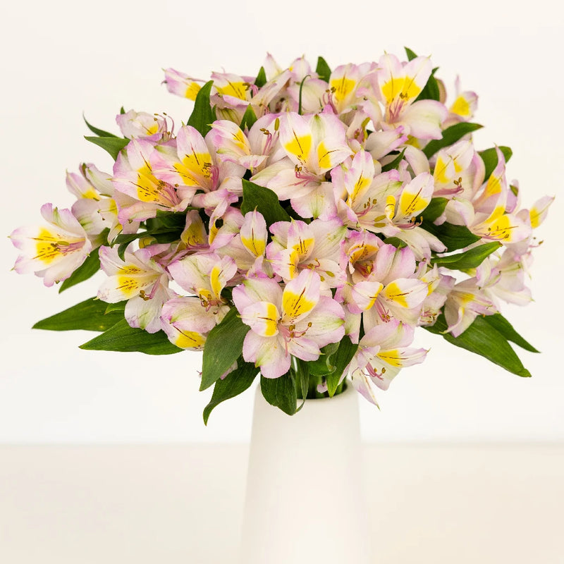 Lovely Lilac Peruvian Lily Vase - Image