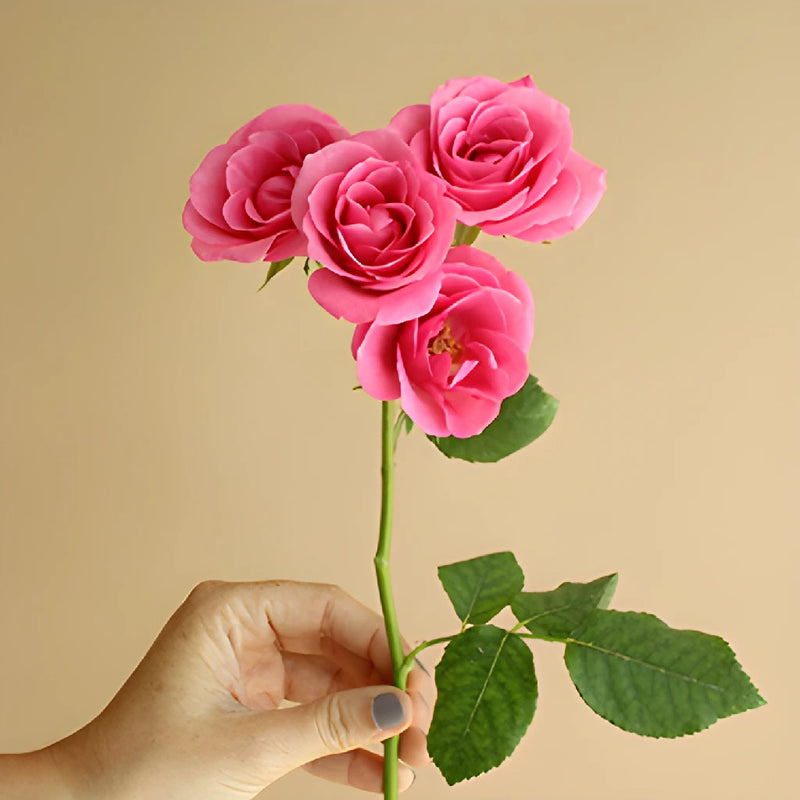 Lovely Lydia Hot Pink Rose Stem