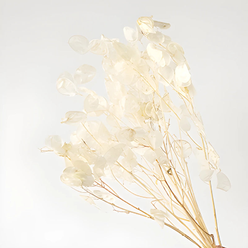 Dried lunaria DIY wedding flowers