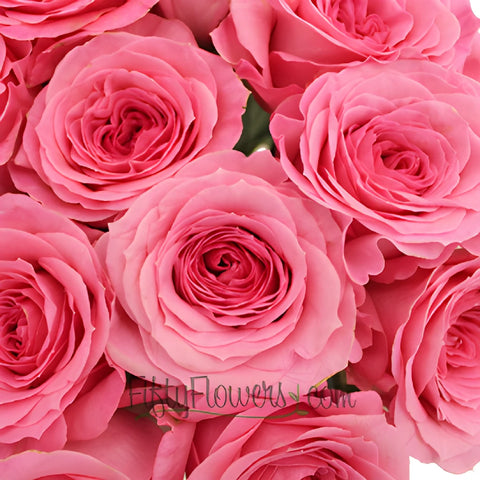 Martina Princess Pink Rose