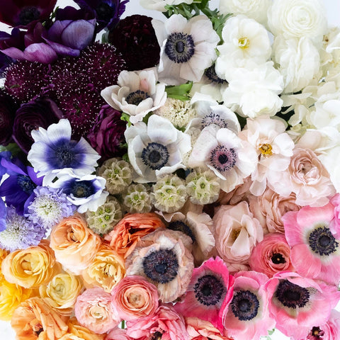 Lush Garden Romance Diy Flower Combo Close Up - Image