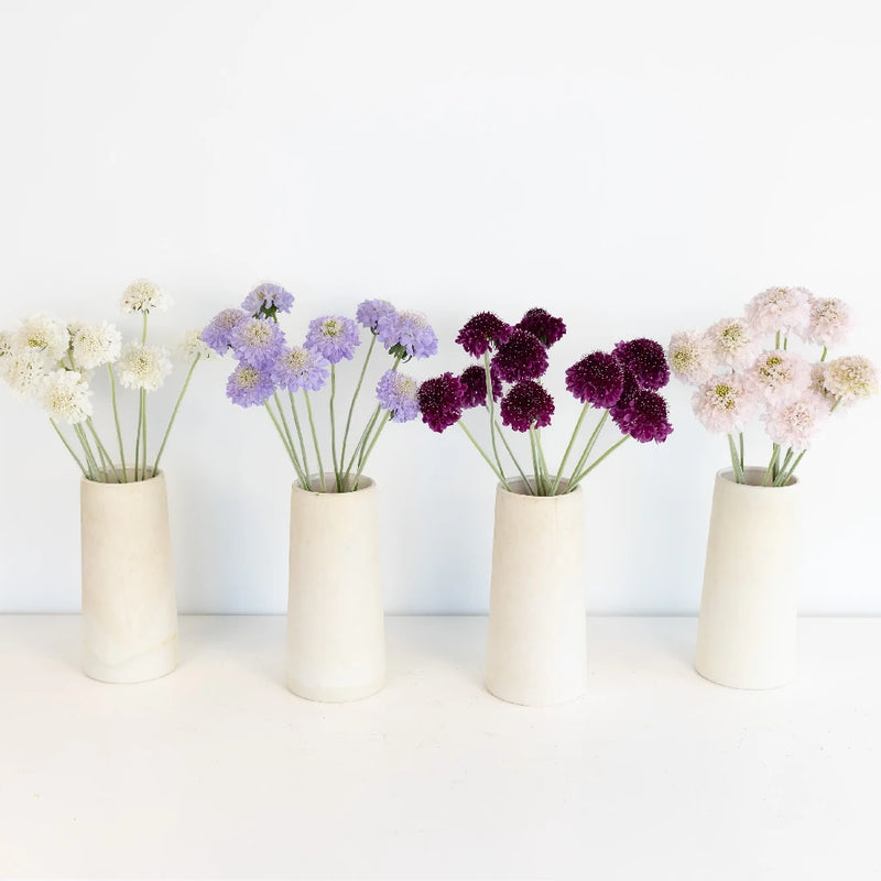 Lush Garden Romance Diy Flower Combo Recipe - Image