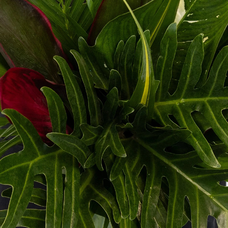 Lush Green Amazon Greenery Centerpiece Hand - Image