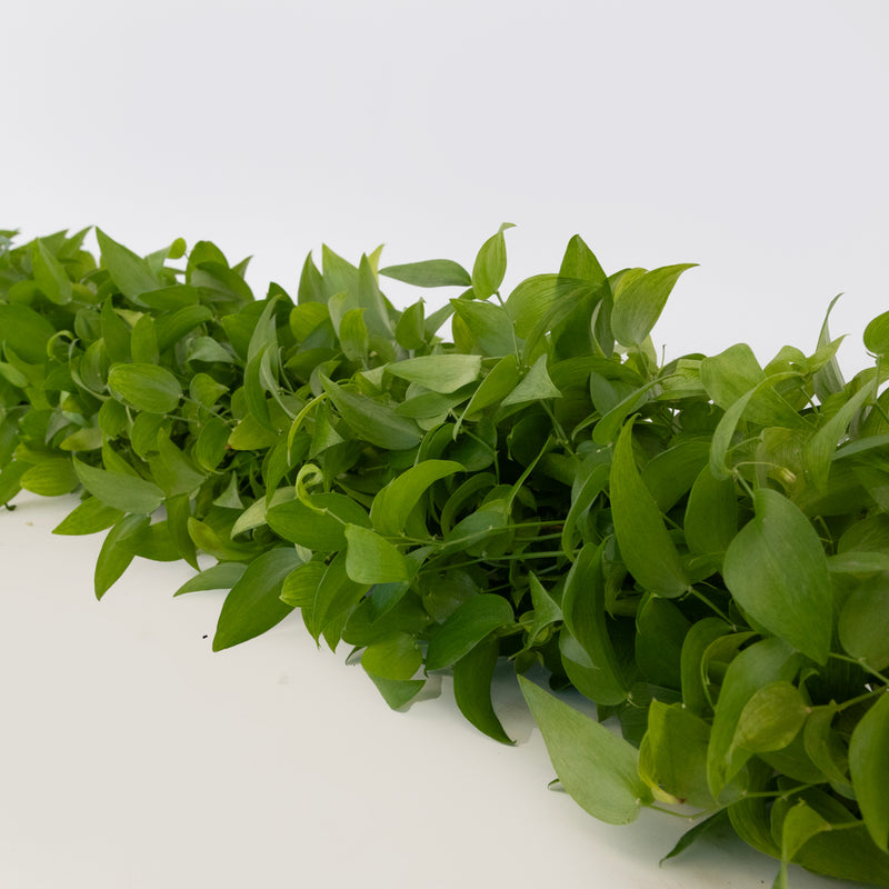 Lush Smilax Greenery Wedding Vine Apron - Image