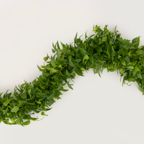 Lush Smilax Greenery Wedding Vine Vase - Image