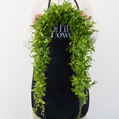 Lush Smilax Greenery Wedding Vine Other - Image