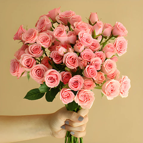 Pink Spray Roses