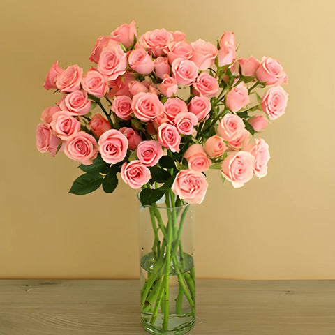 Pink Spray Roses