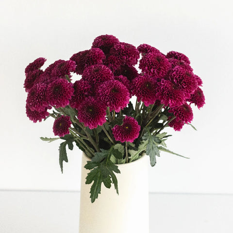 Magenta Purple Button Pom Vase - Image