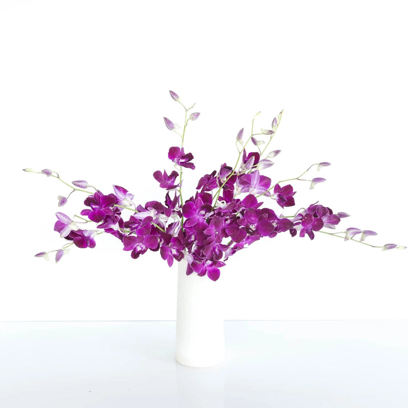 Magnetic Magic Orchid Flower Stem - Image