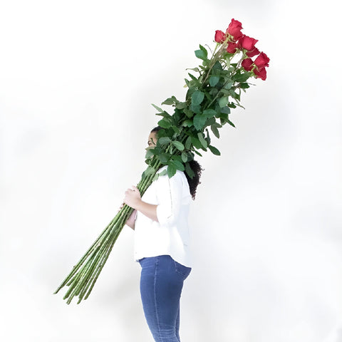 Magnificent Tall Red Roses Hand - Image