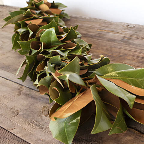 Magnolia Greenery Garland
