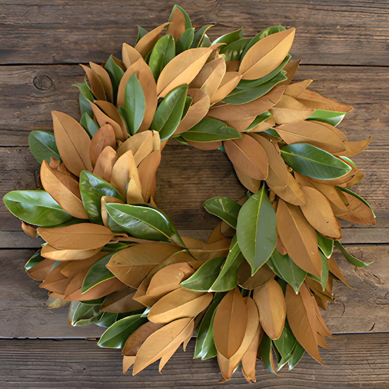Magnolia Greenery Wreaths